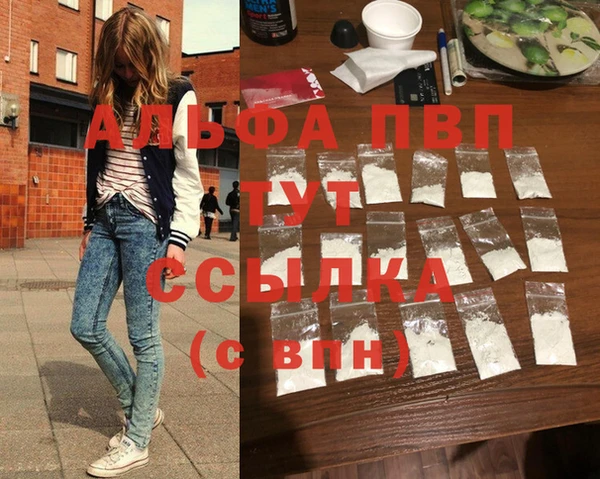 спиды Аркадак