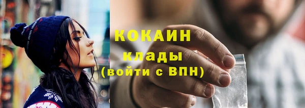 ГАЛЛЮЦИНОГЕННЫЕ ГРИБЫ Арсеньев