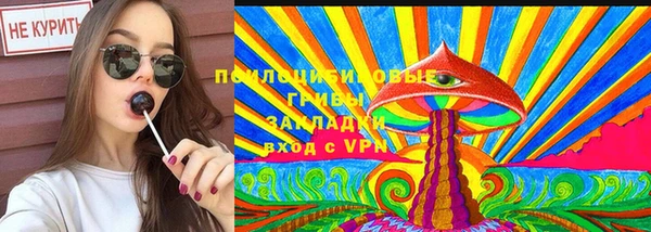 ГАЛЛЮЦИНОГЕННЫЕ ГРИБЫ Арсеньев