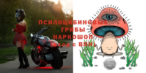 ГАЛЛЮЦИНОГЕННЫЕ ГРИБЫ Арсеньев