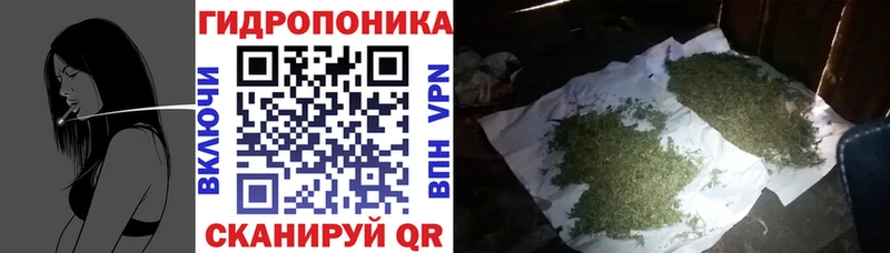 Бошки марихуана планчик  это Telegram  Лянтор 